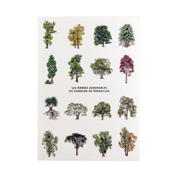 arbresadmirables_Une2