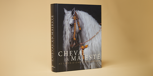 Push-promo-Catalogue-cheval