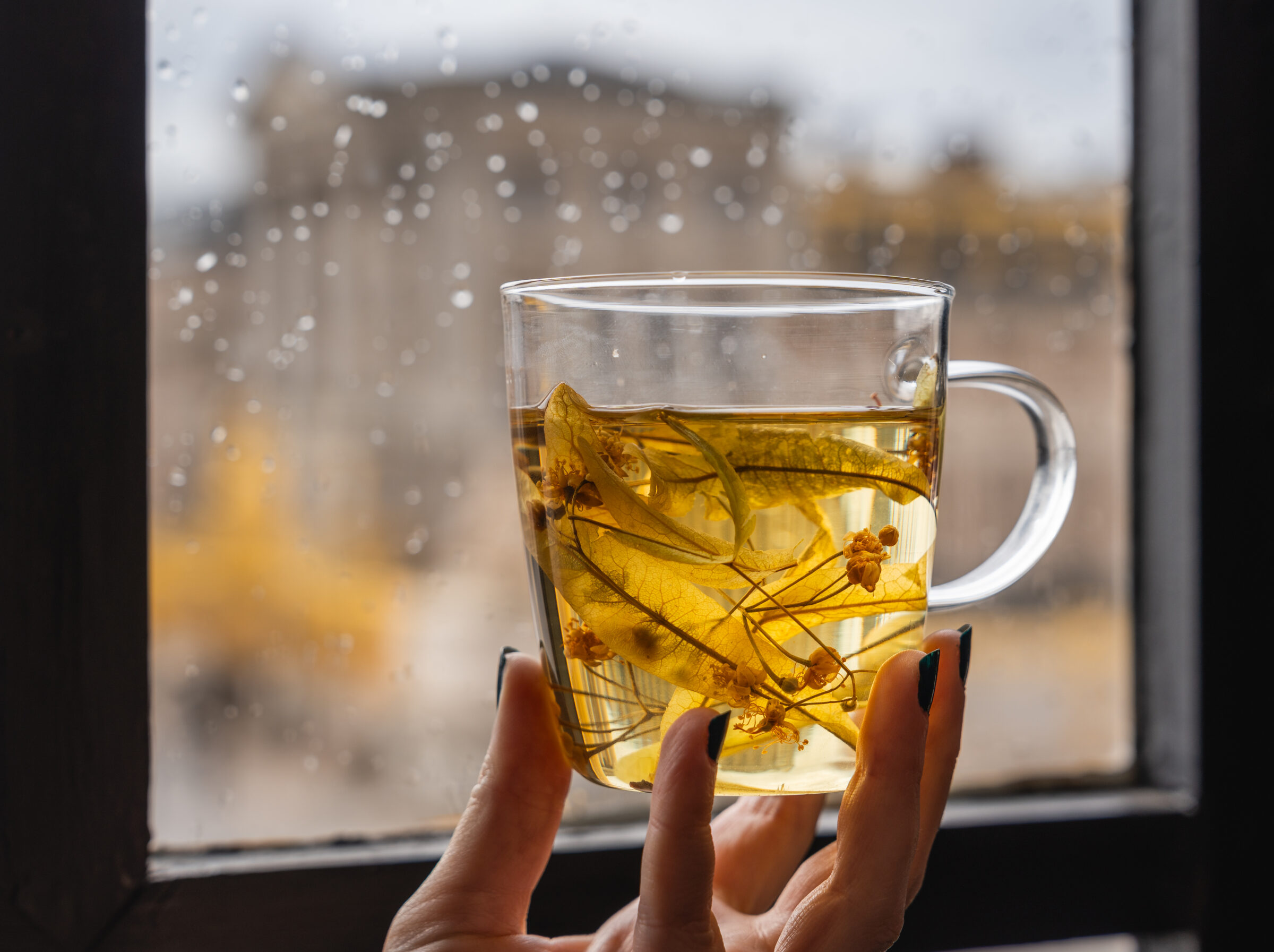 © Sébastien Giles6365