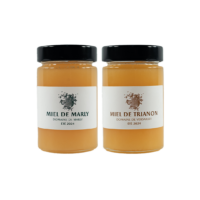 Vignette collection V2-miel-2024