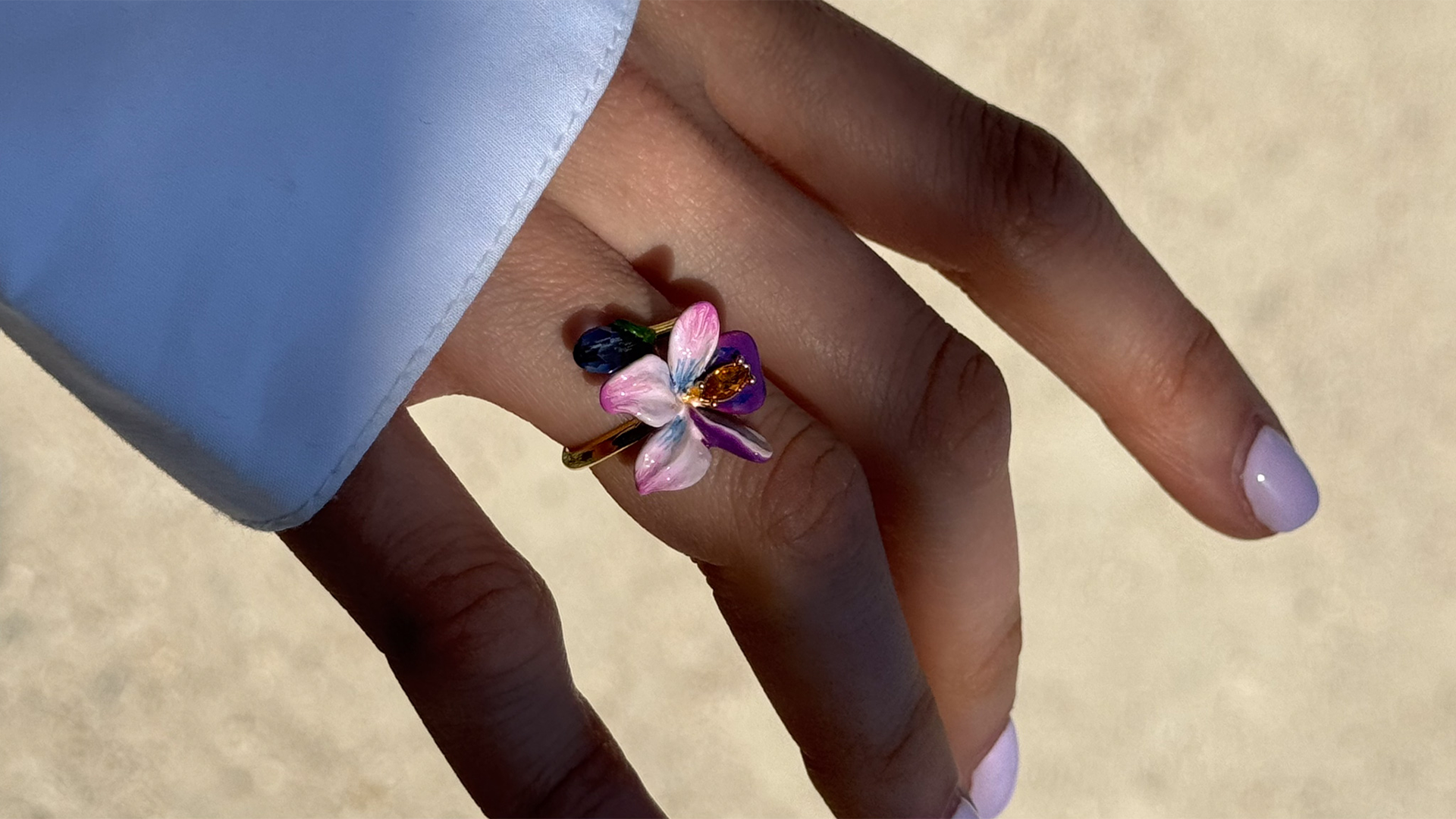 Image collection V2-nereides