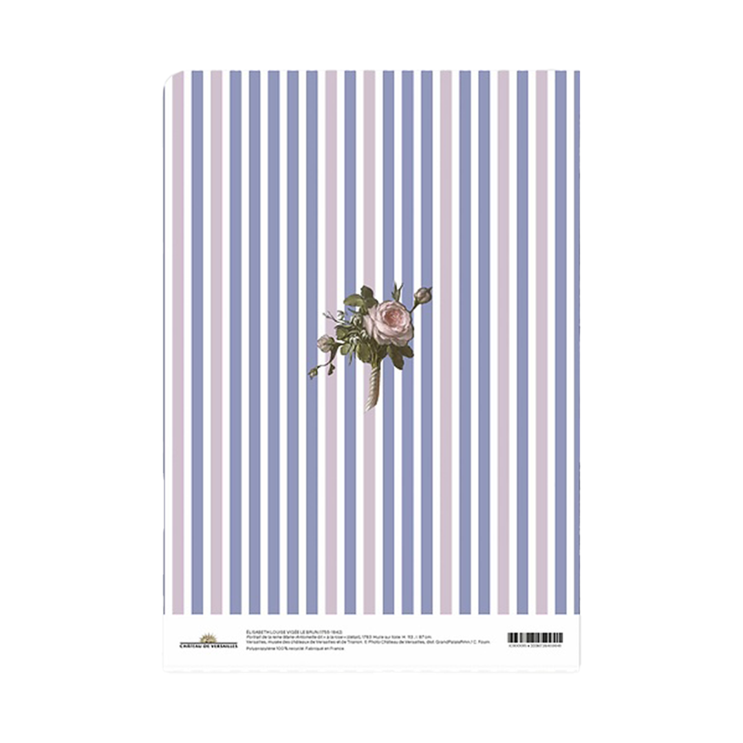 sous chemise portrait reine marie antoinette rose 2