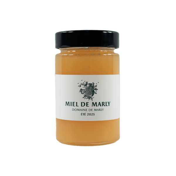 Miel de Marly 2025